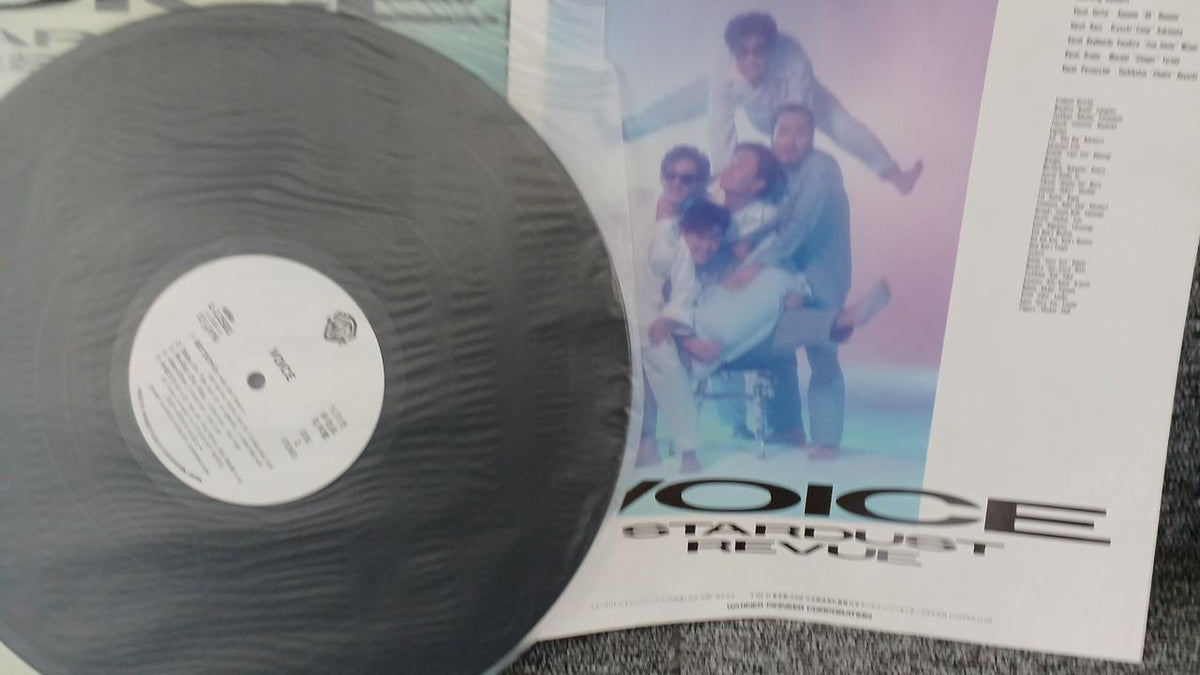 Warner Pioneer Sample Disc Unused Record Stardust Review VOICE