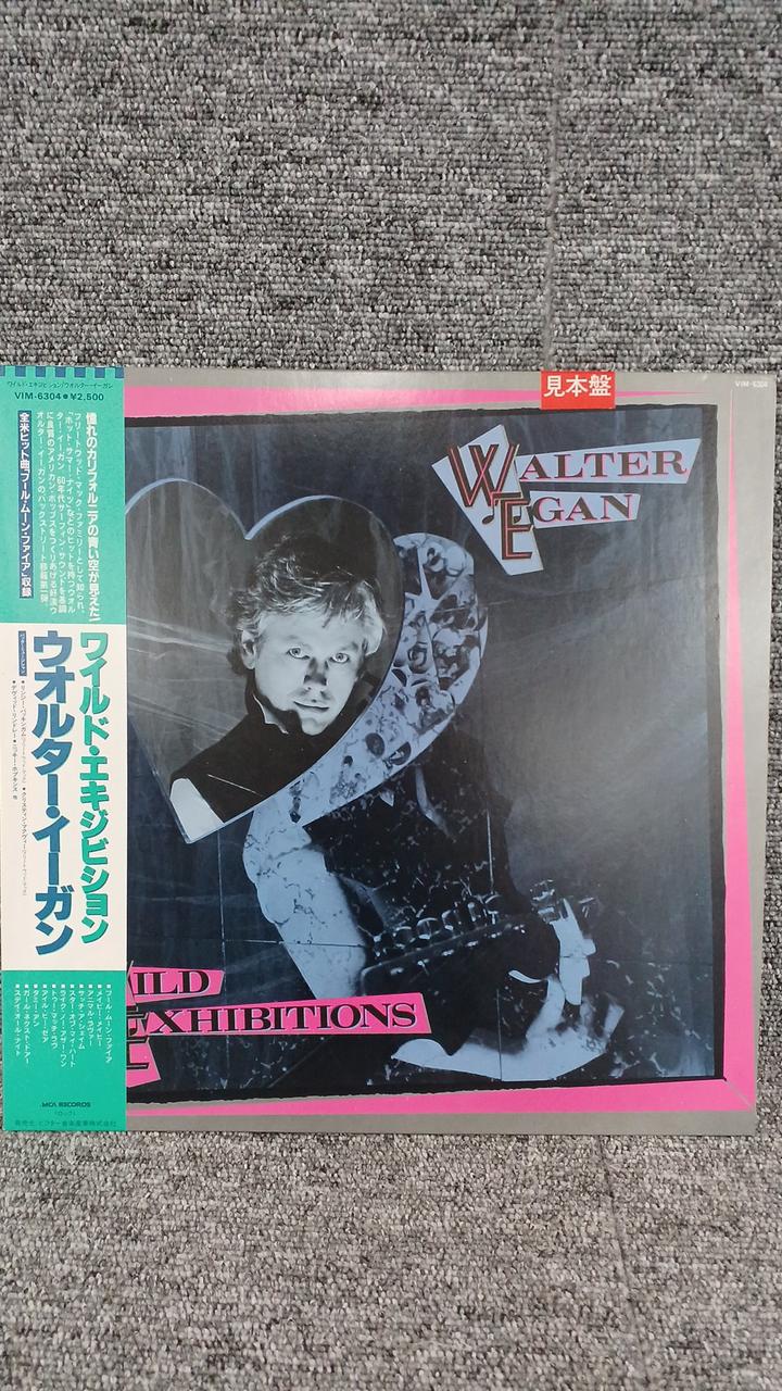MCA Sample Disc Unused Record Walter Egan Wild Exhibition
