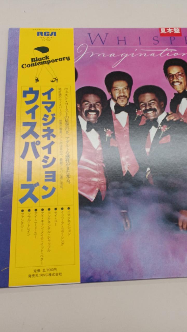 RVC Sample Disc Unused Record Imagination Nation Whispers