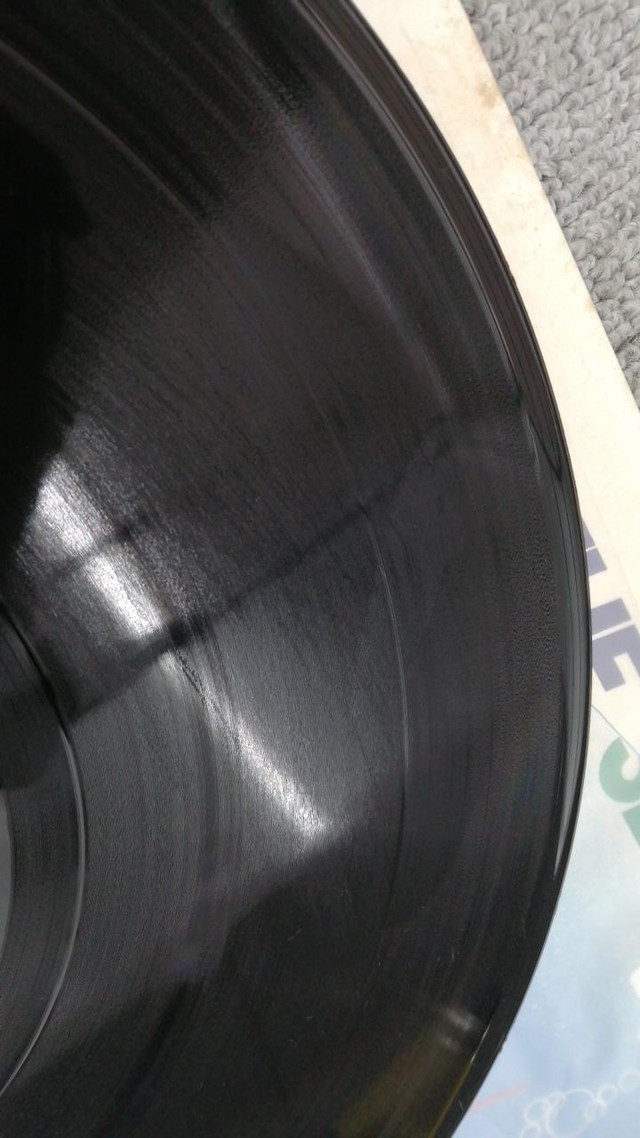TREE BLIND MICE LP BACK TO THE SEA
