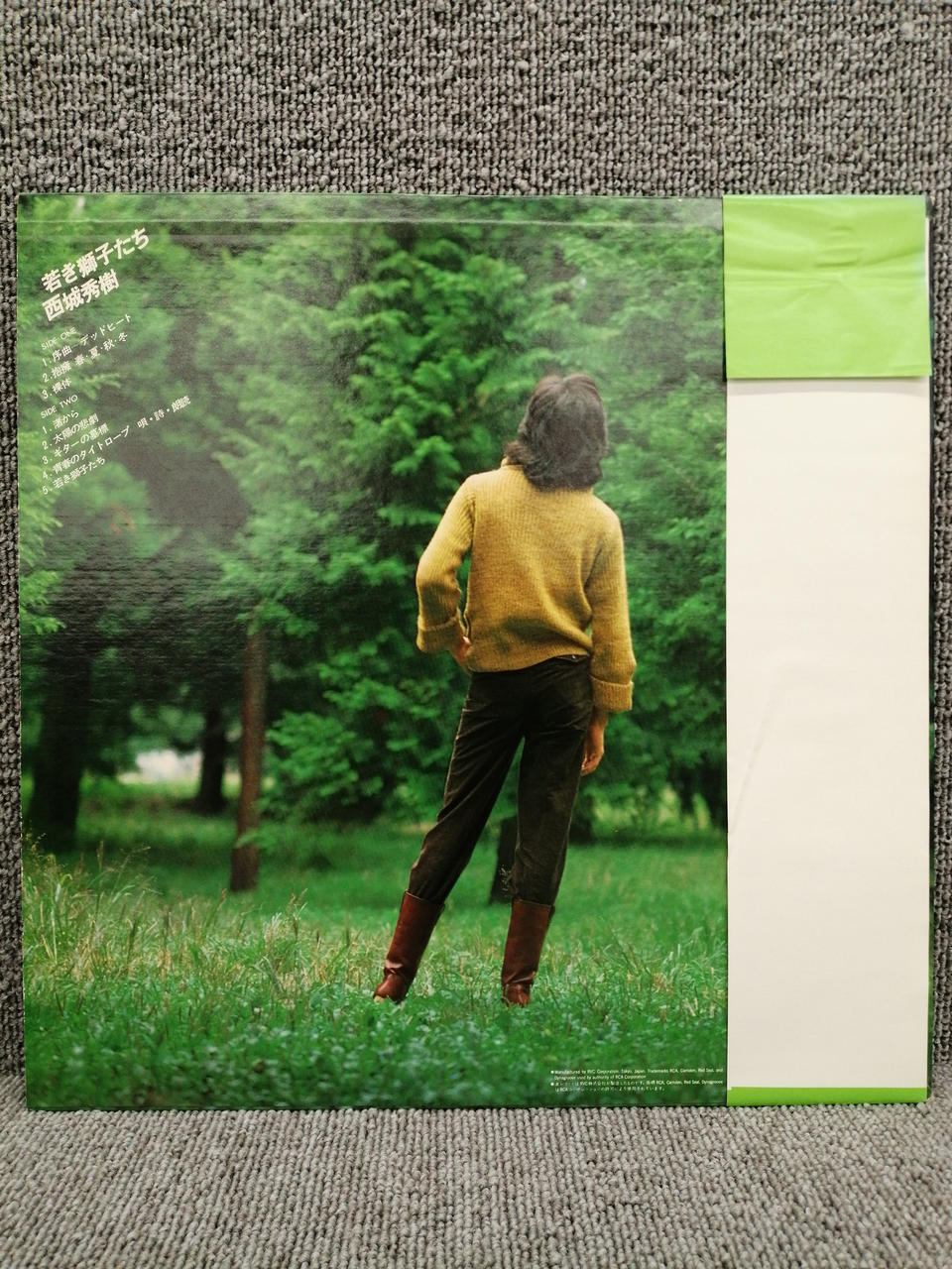 RVC Analog Record Hideki Saijo / Young Lions