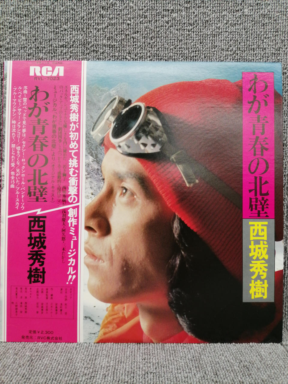 RVC Analog Record Hideki Saijo / The North Wall of My Youth