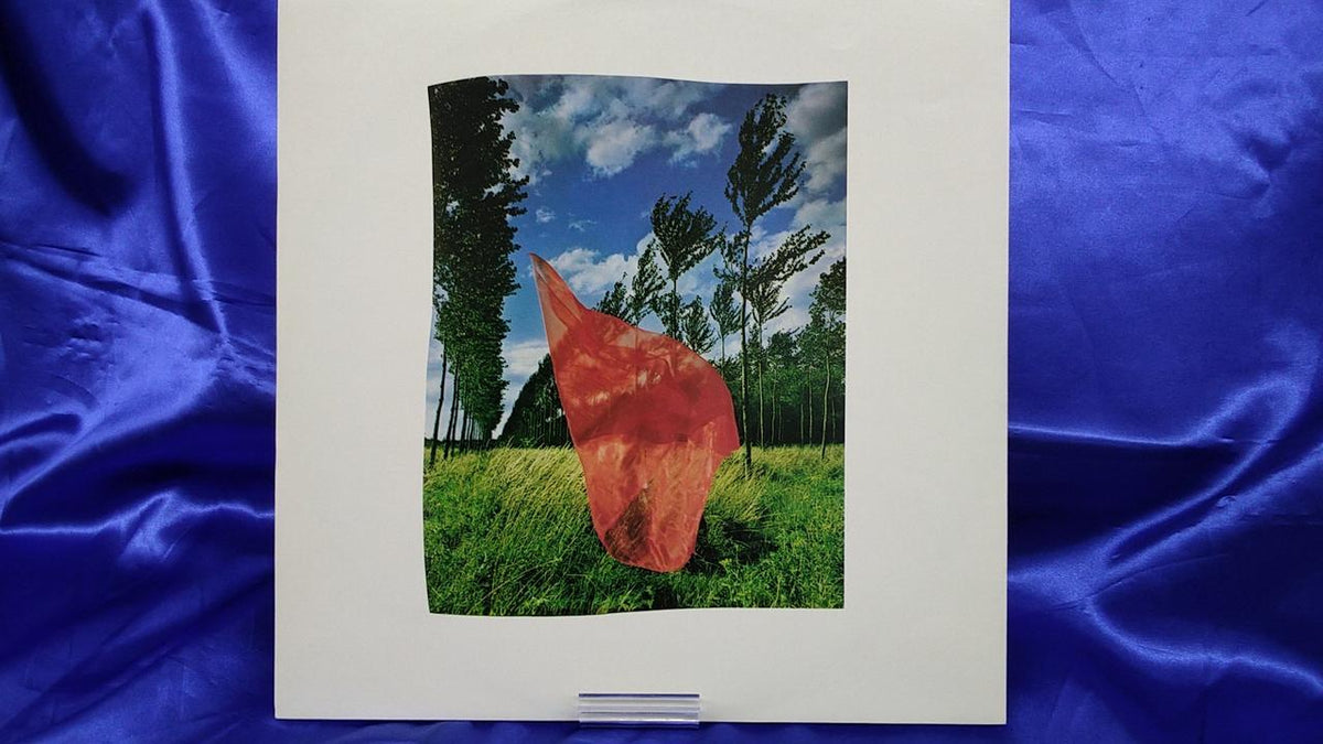 CBS/Sony Pink Floyd Flame I Want You to Be Here 25AP 1258