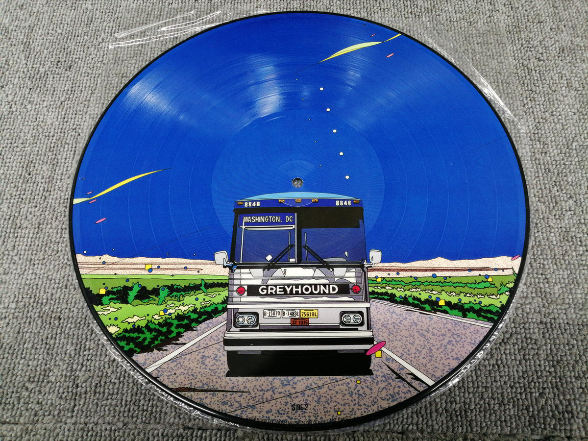 PICTURE RECORDS Analog Record Tatsuro Yamashita / COME ALONG