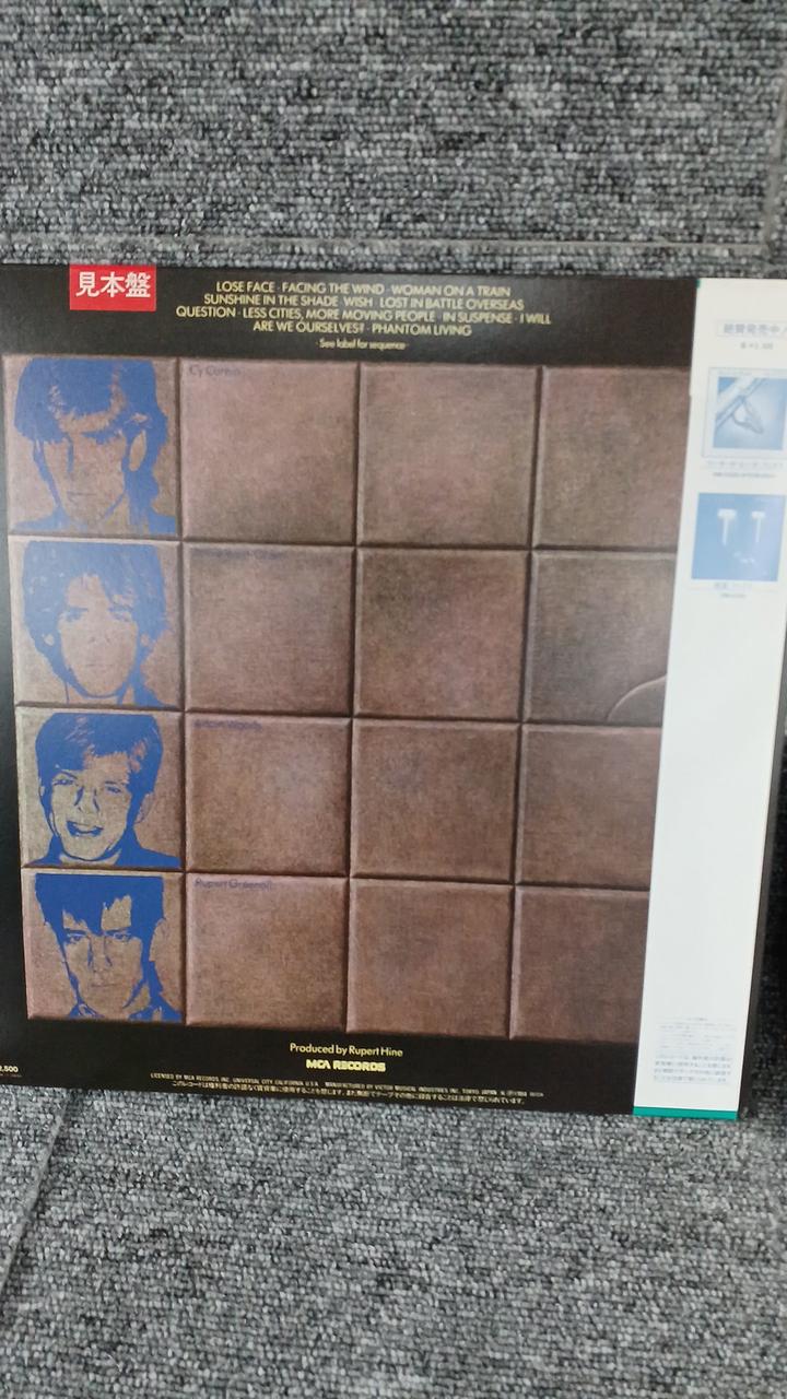 VICTOR Sample Disc Unused Record Fix Phantoms
