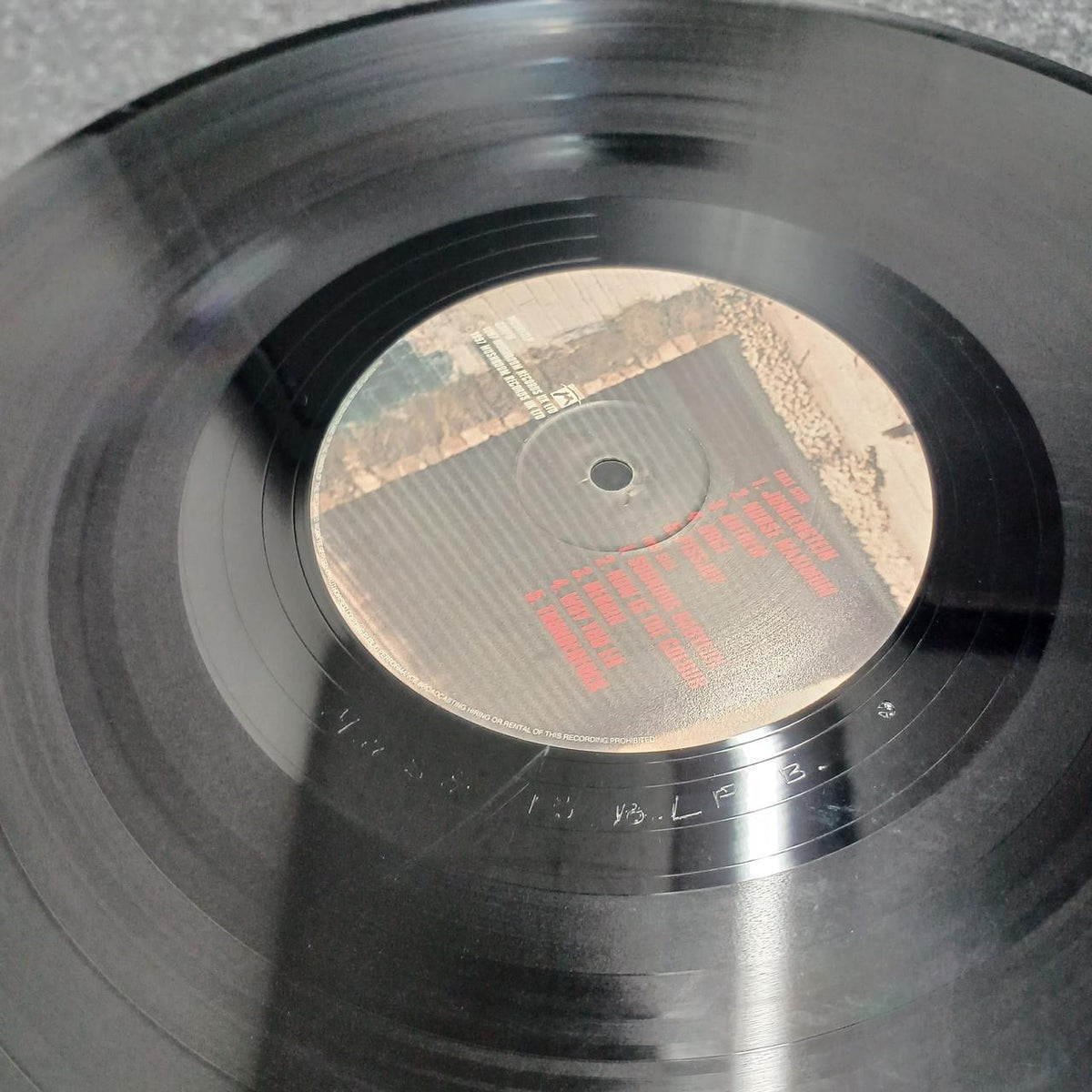 MUSHROOM THE WILDHEARTS - ENDLESS,NAMEL MUSH13LP