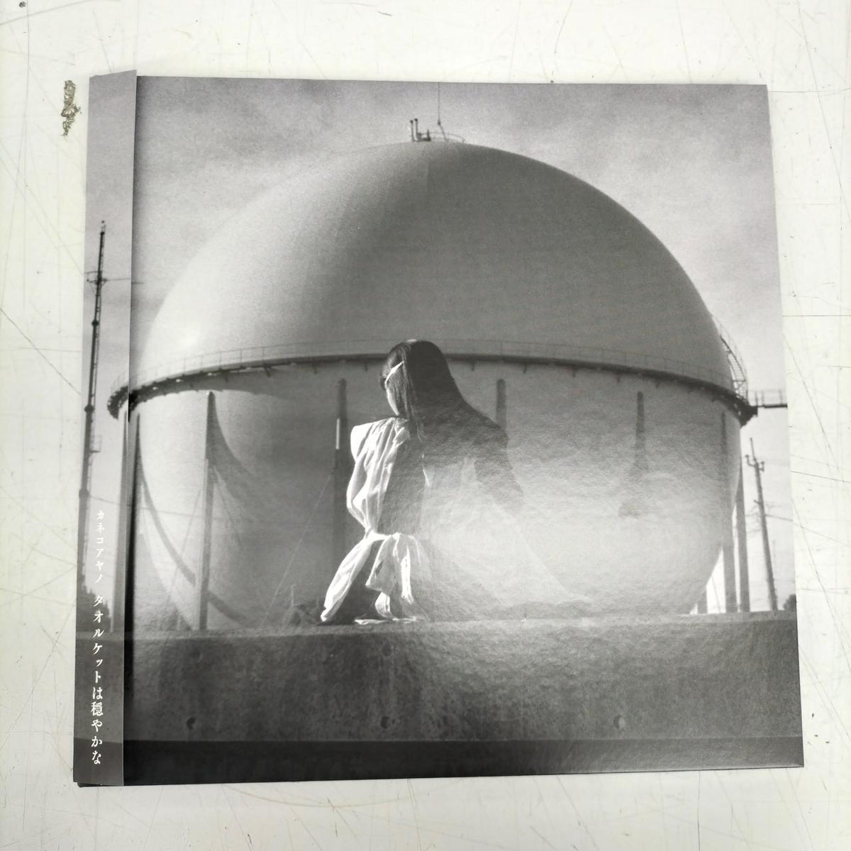1994 Ayano Kaneko / The Towel Blanket Is Calm NNFS-1008
