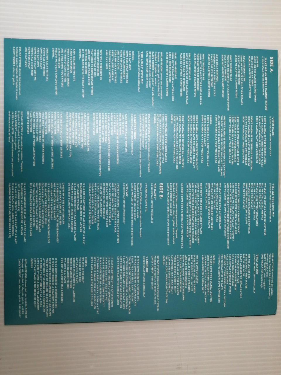 ASTHMATIC KITTY SANFJAN STEVENS/THE ASCENSION AKR150