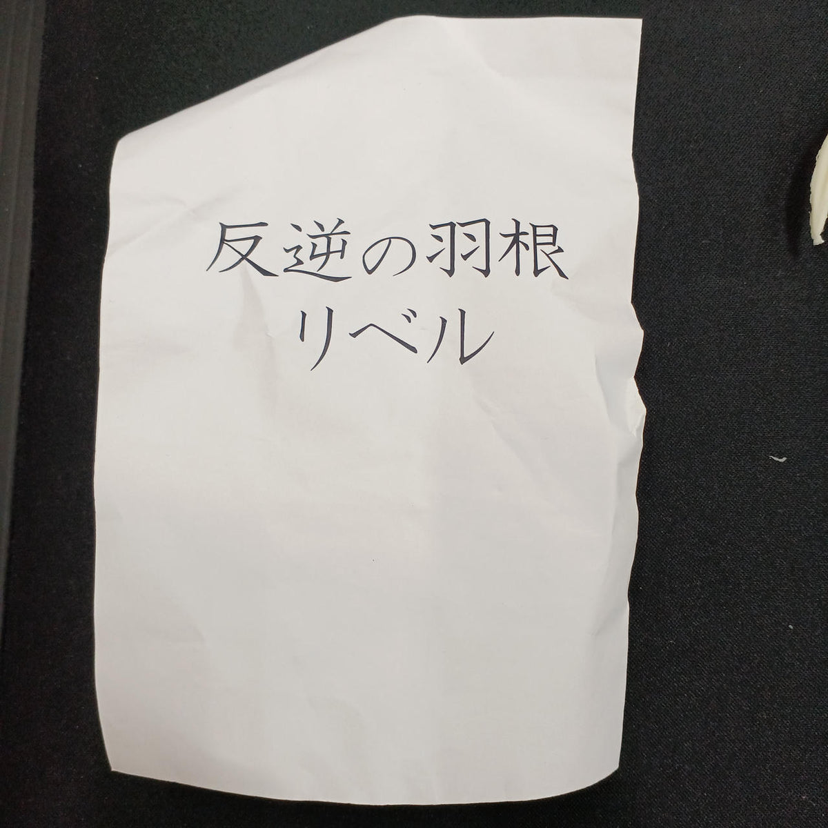 Sesame-salted Namelundes Garage Kit Wings of Rebellion Liber - Banzai Thrifting | BanzaiHobby