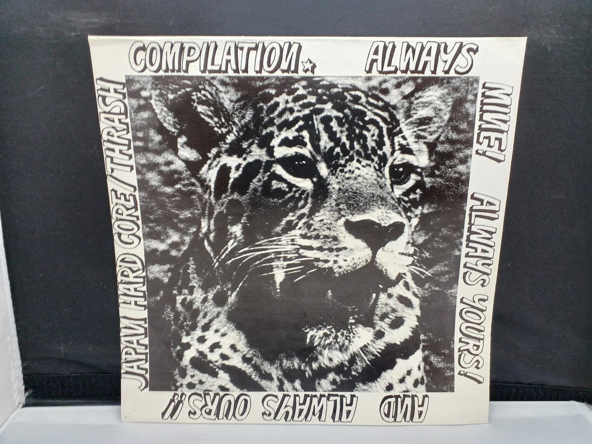ADVENTURE FAMILY RECORDS VARIOUS / ENJOY YOUR YOUTH BY AFR-02
