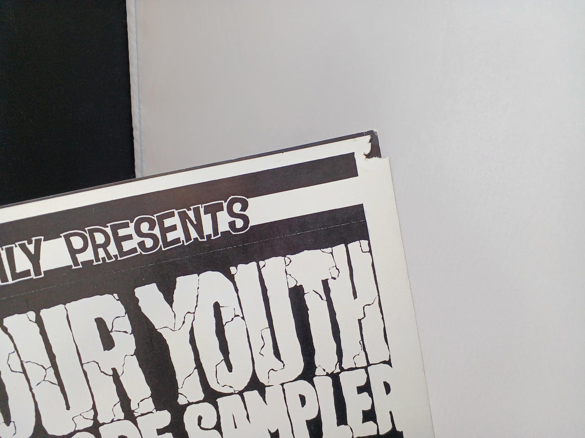 ADVENTURE FAMILY RECORDS VARIOUS / ENJOY YOUR YOUTH BY AFR-02