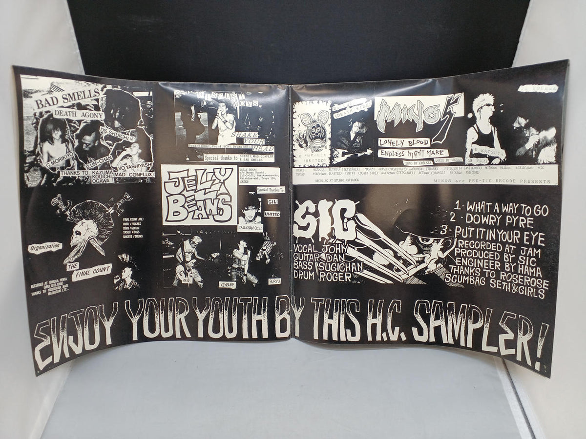 ADVENTURE FAMILY RECORDS VARIOUS / ENJOY YOUR YOUTH BY AFR-02