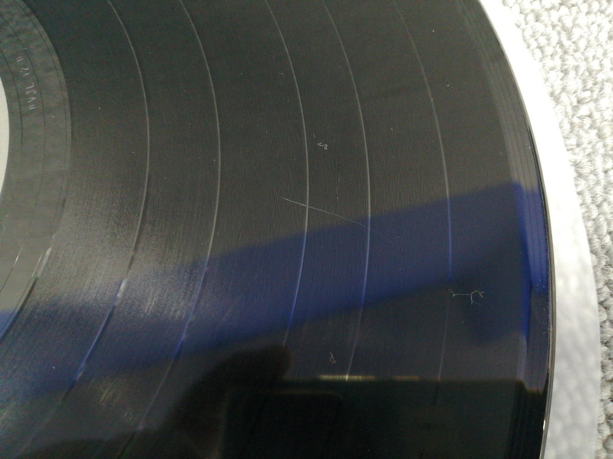 SONY MUSIC Gambo Inferno/The Cro-Magnons BVJL12