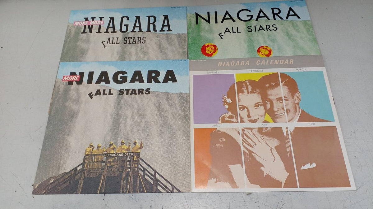 Eiichi Ohtaki LP record NIAGARA VOX