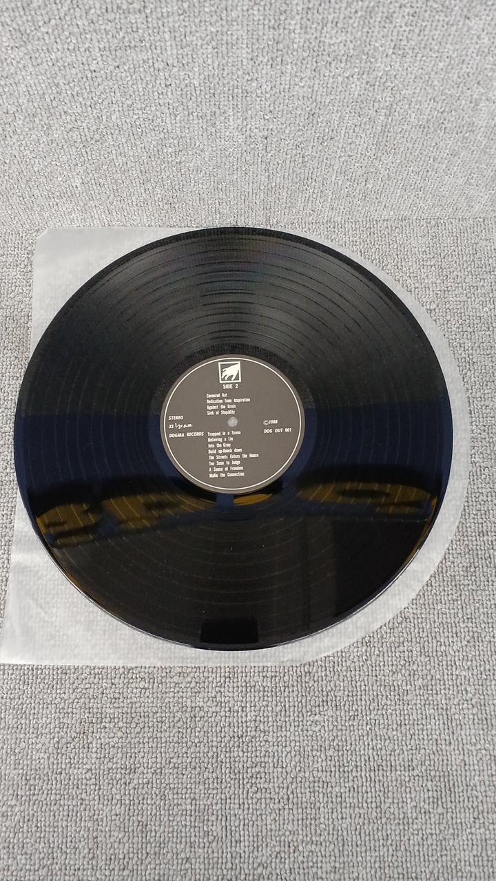 DOGMA RECORDS HERESR/VOICE YOUR OPINION Heresy DOG OUT 001