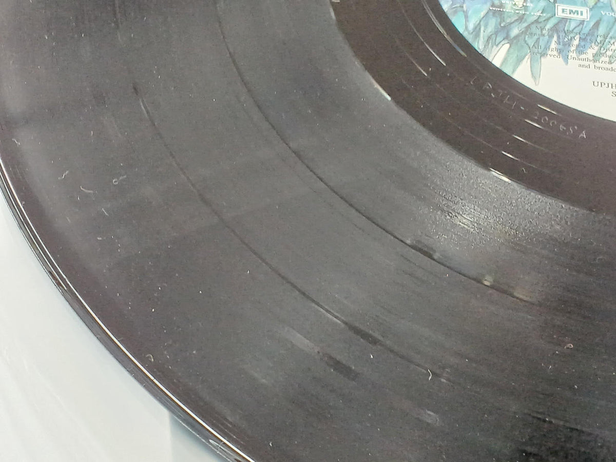 Universal Music RADWIMPS LP Record × and ○ and Sin (Limited Edition)