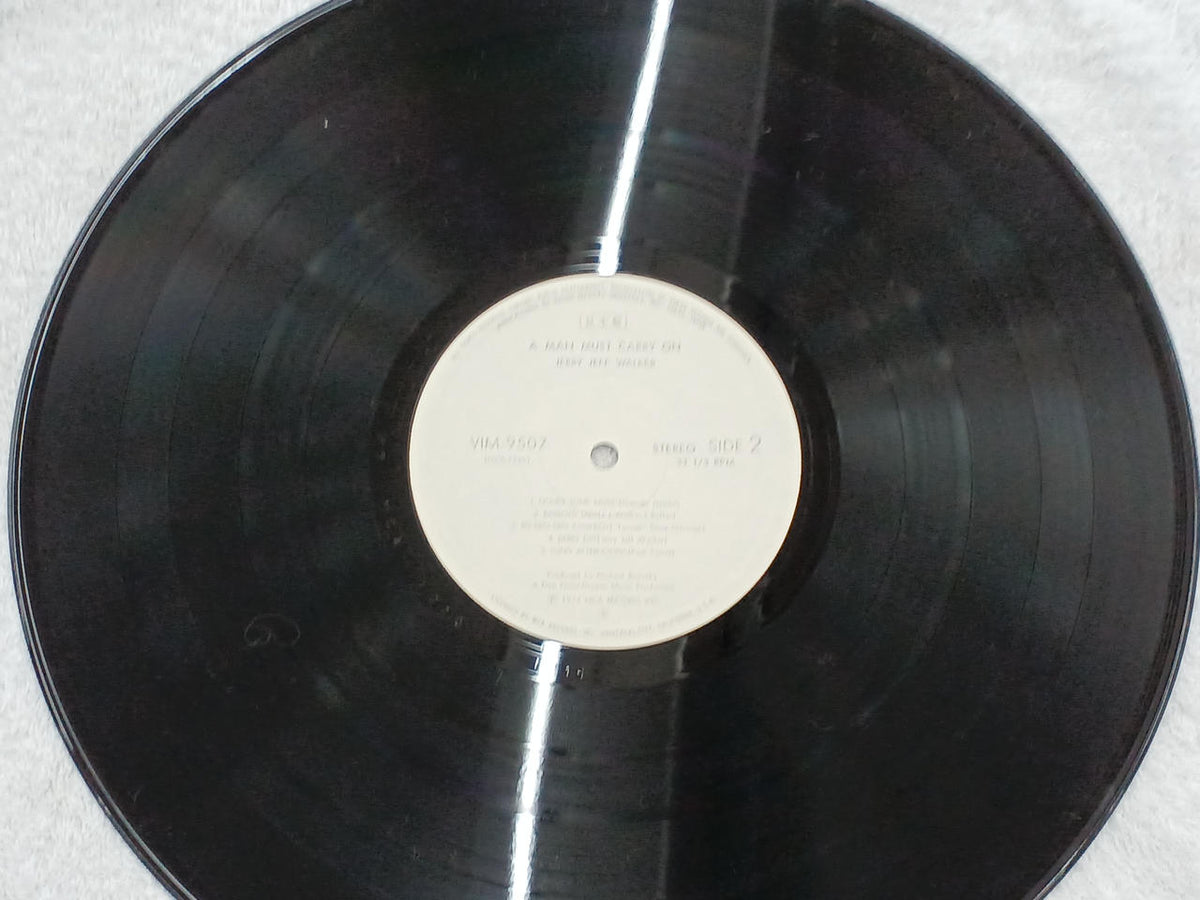 Victor Music Industries Endless Journey / Jerry Jeff Walker VIM-9507~08