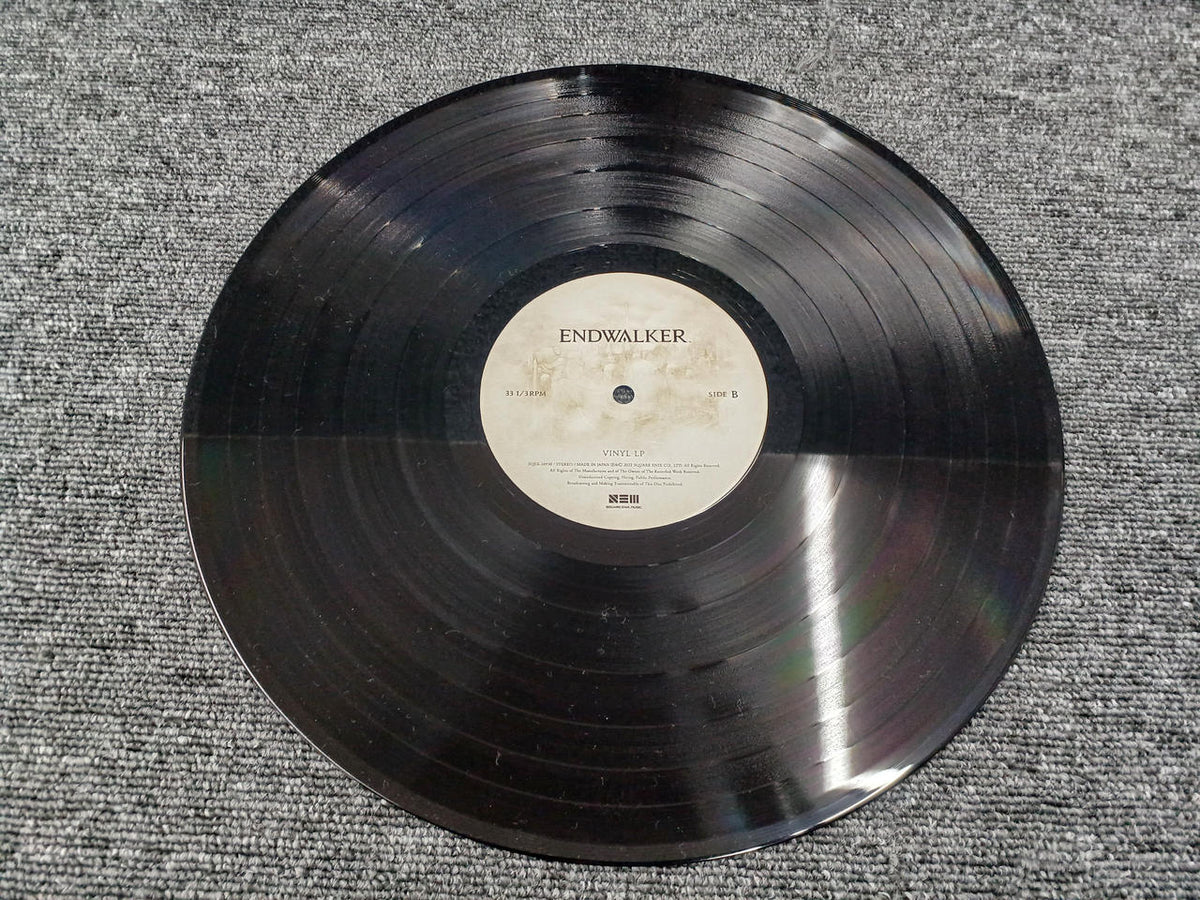 SQUARE LP ENDWALKER VINYL LP