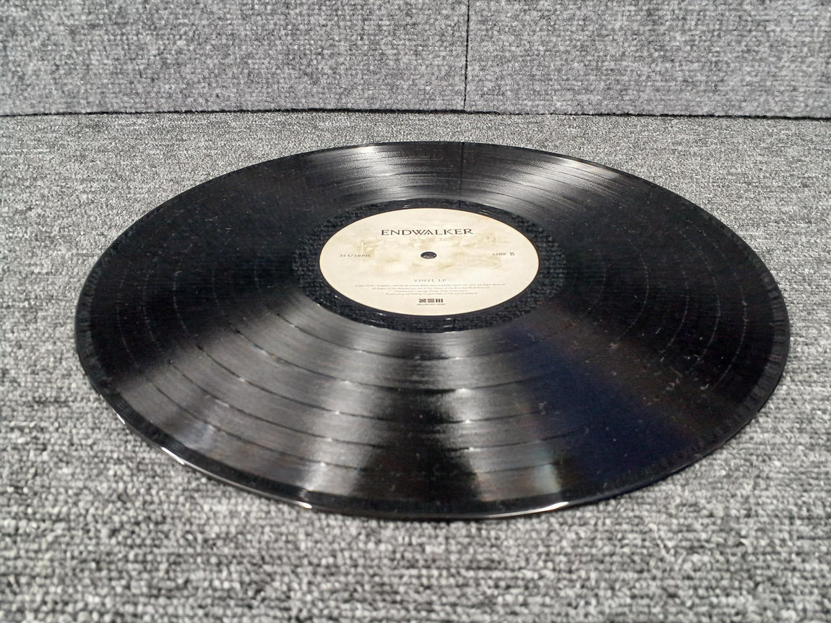 SQUARE LP ENDWALKER VINYL LP