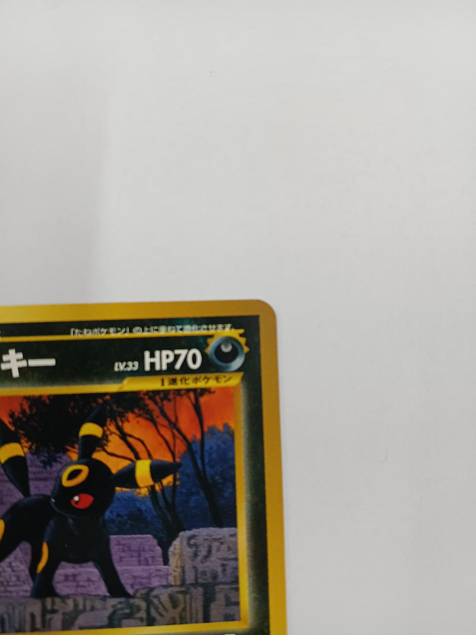 Pokémon Blacky Old Back - Banzai Thrifting | BanzaiHobby