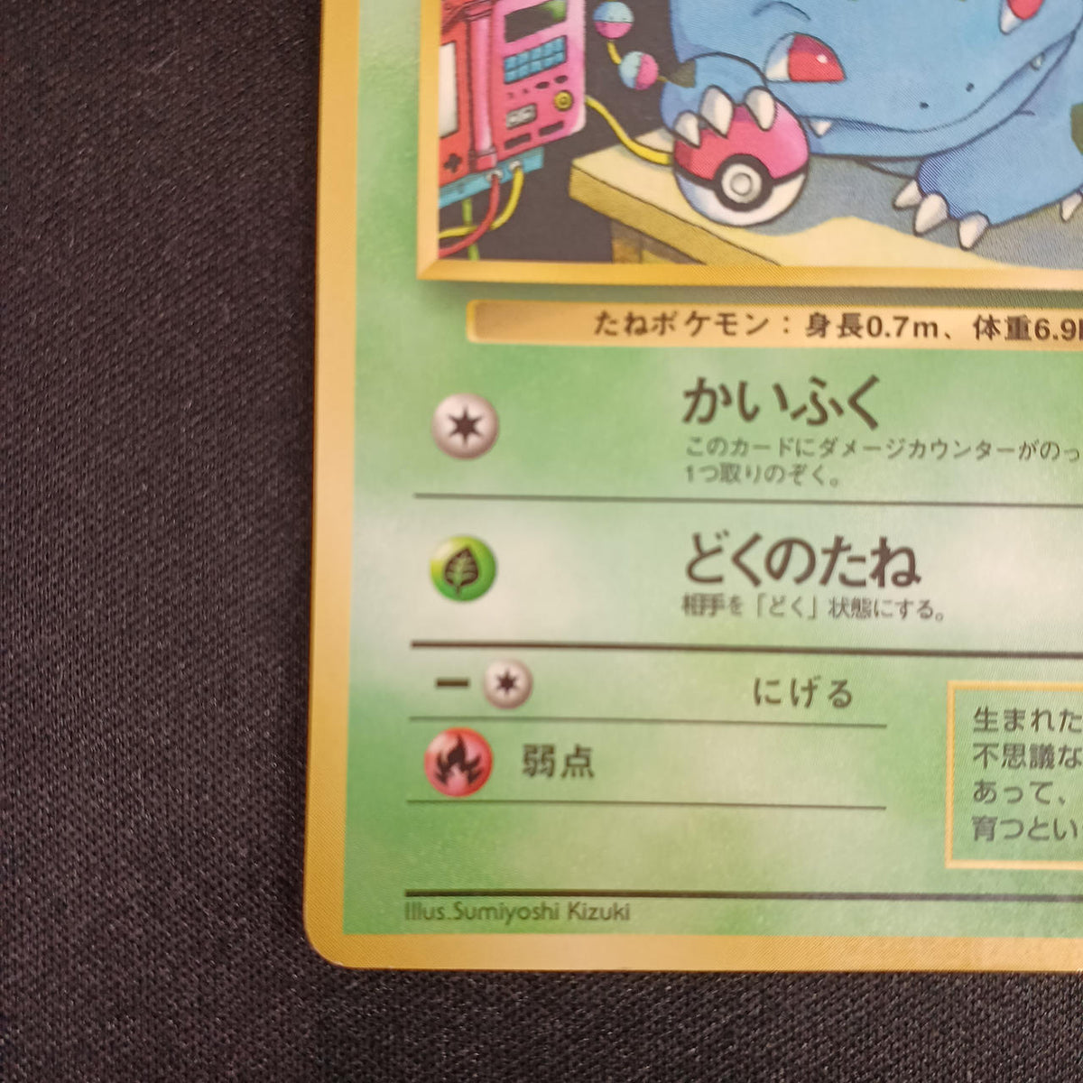 Pokémon Bulbasaur LV.15 NO.001