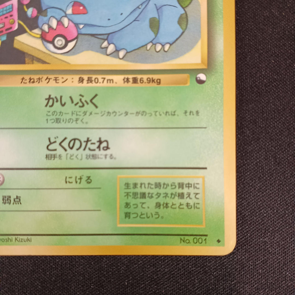 Pokémon Bulbasaur LV.15 NO.001
