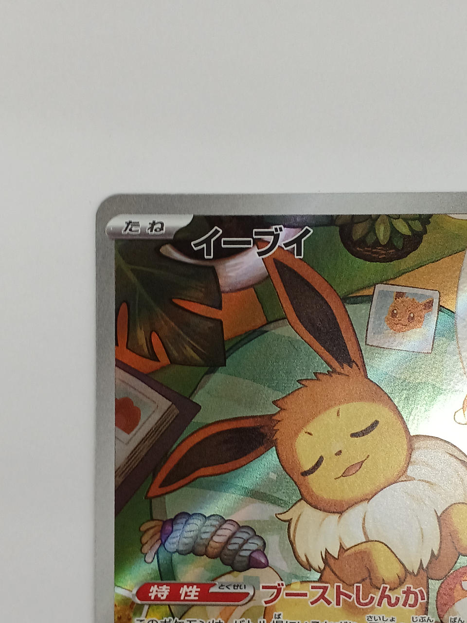 Pokémon Eevee 755/742/MC/B Other (No Rarity)