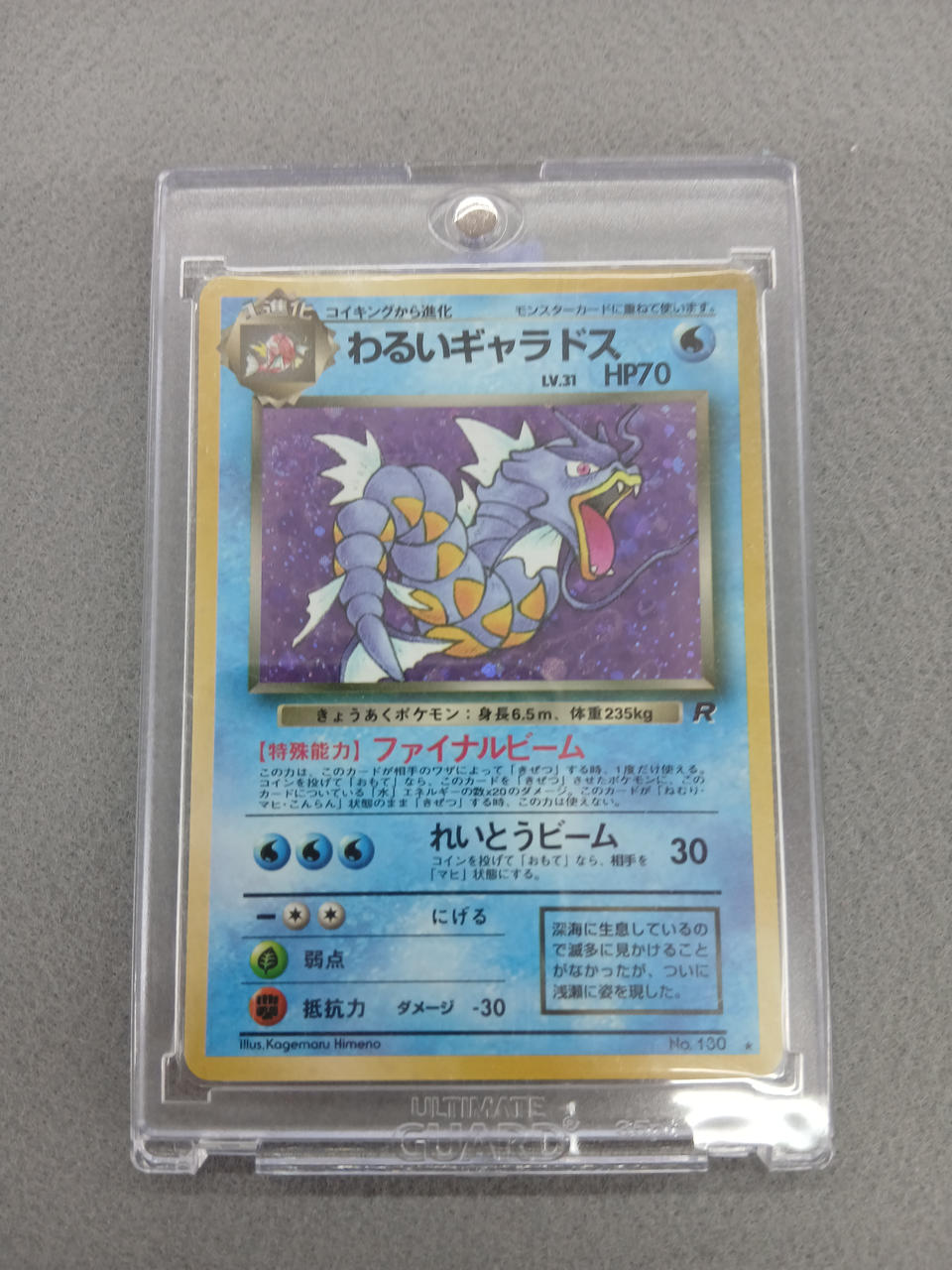 Media Factory Pokémon Card Bad Gyarados