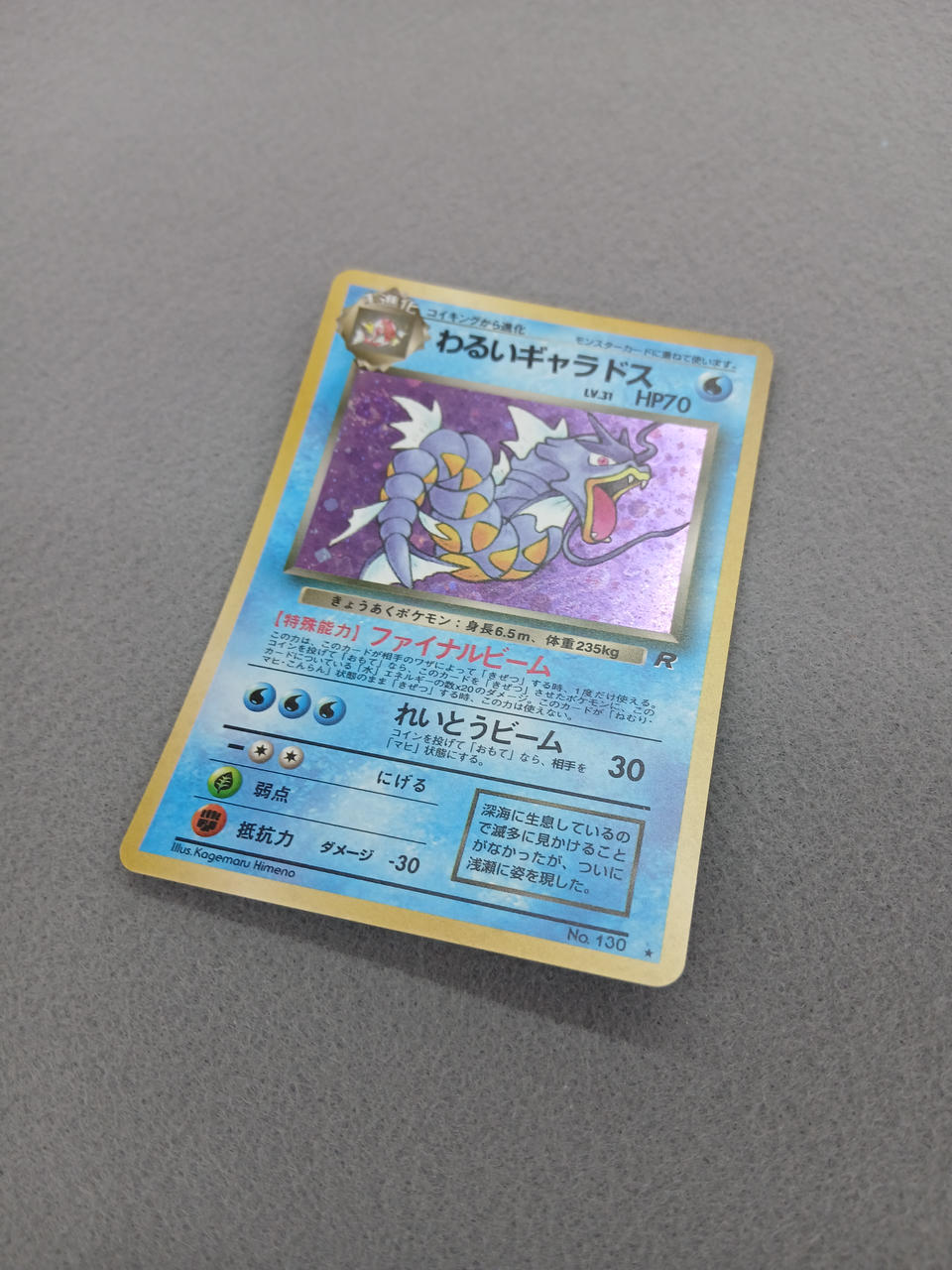 Media Factory Pokémon Card Bad Gyarados