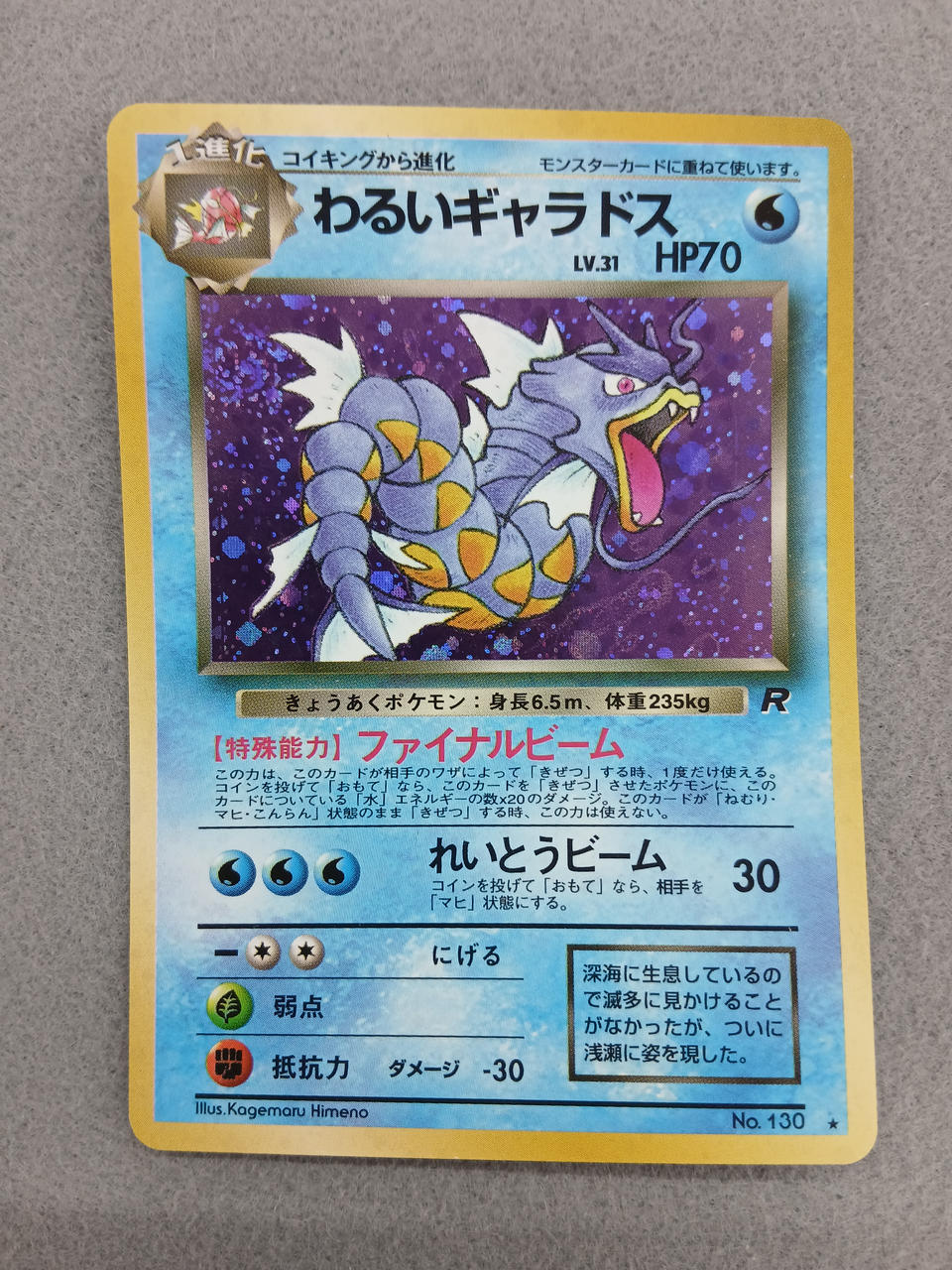 Media Factory Pokémon Card Bad Gyarados