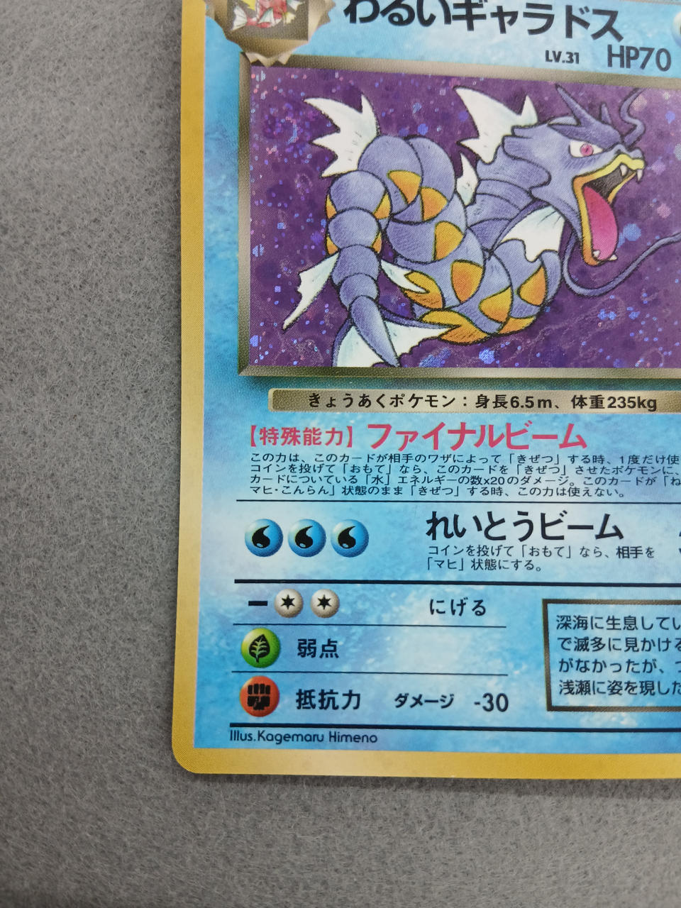 Media Factory Pokémon Card Bad Gyarados
