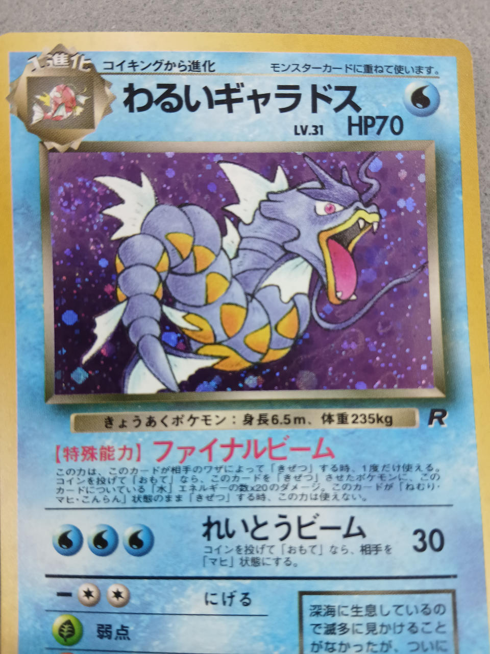 Media Factory Pokémon Card Bad Gyarados