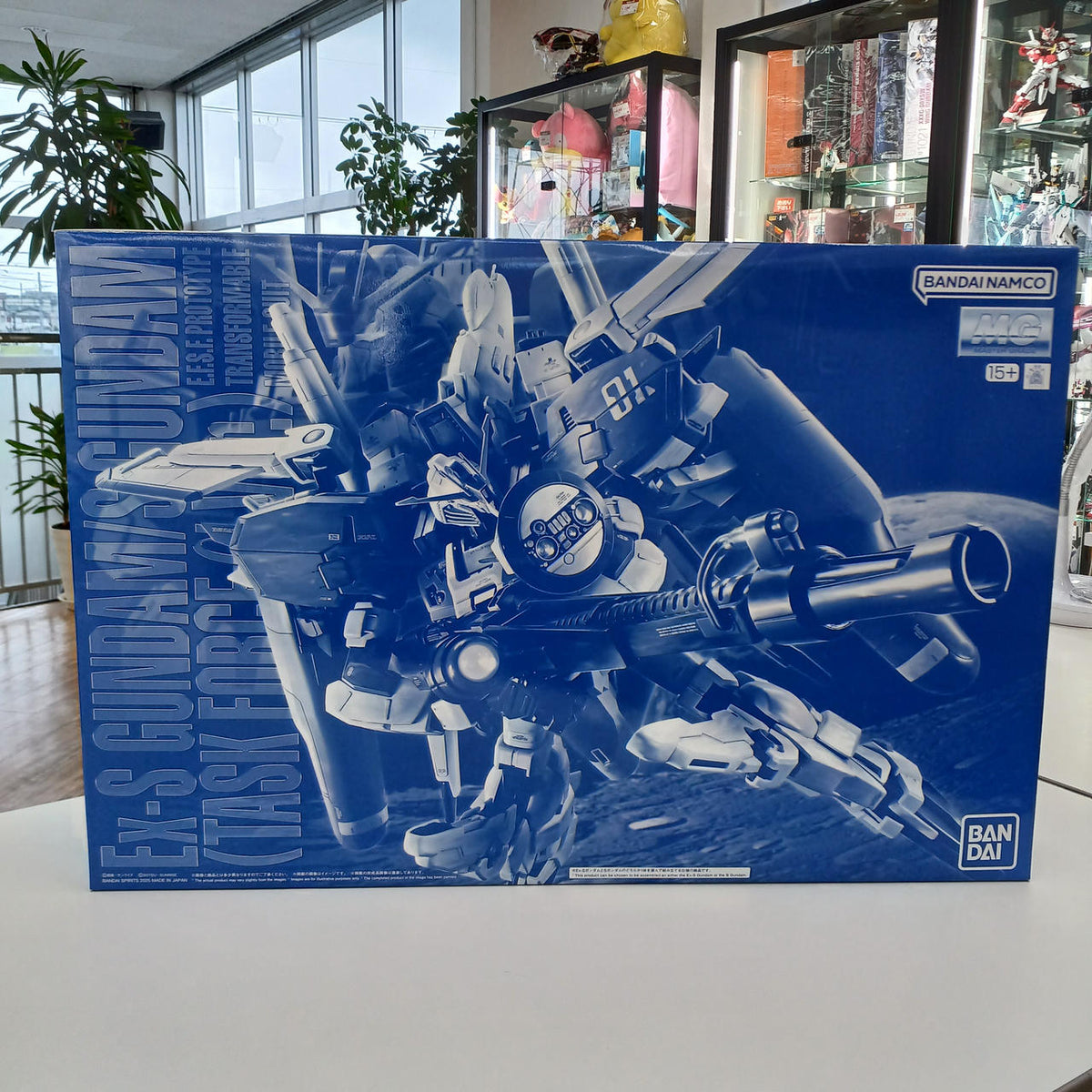 BANDAI Gundam Sentinel MG MSA-0011 [Ext] Ex-S Gundam