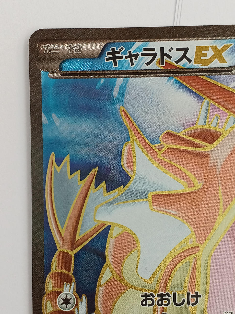 Pokémon Pokémon Card Galados EX SR 081/080