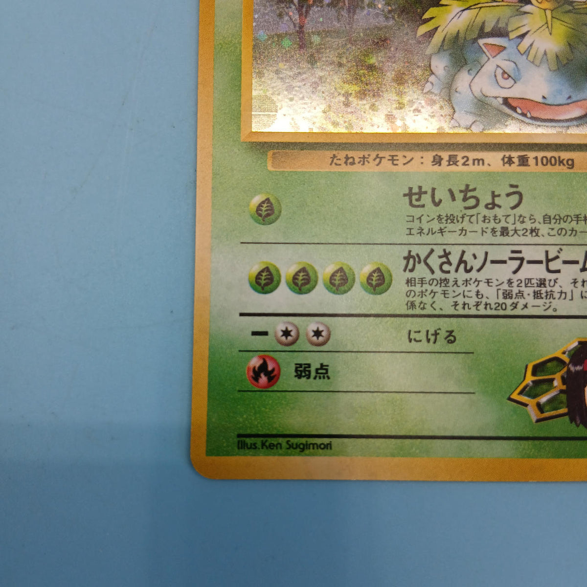 Pokémon Card Old Back: Erika's Bulbasaur Gym Expansion Vol. 2: Challenge from the Darkness