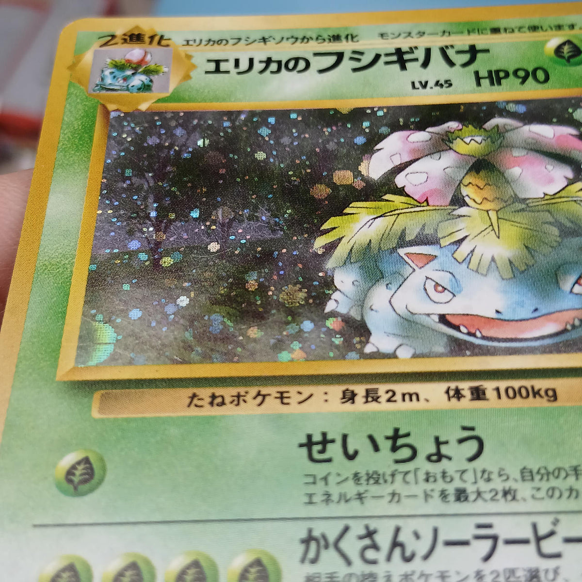 Pokémon Card Old Back: Erika's Bulbasaur Gym Expansion Vol. 2: Challenge from the Darkness