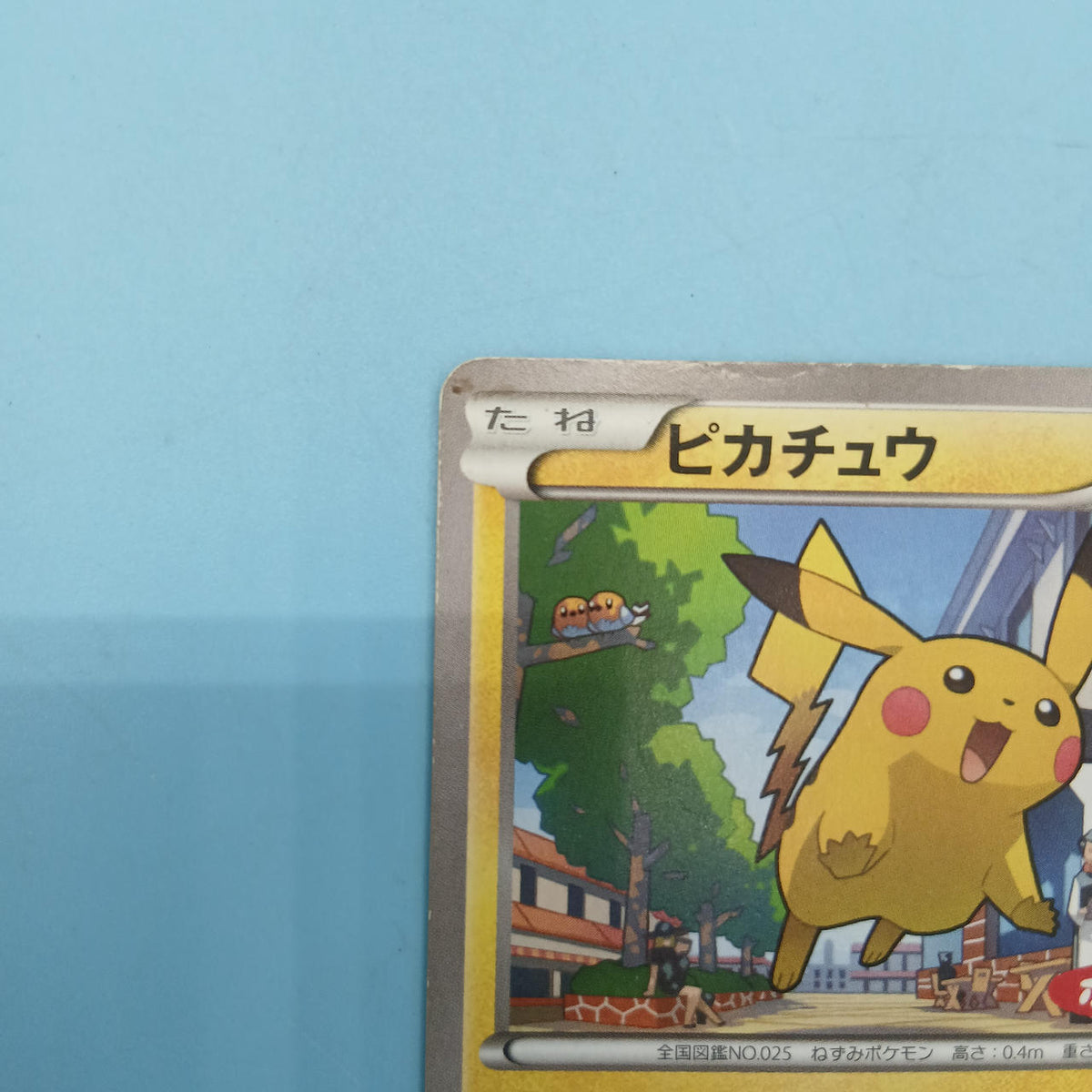 Pokémon Card Pikachu (Pokémon Bread) 064/XY-P