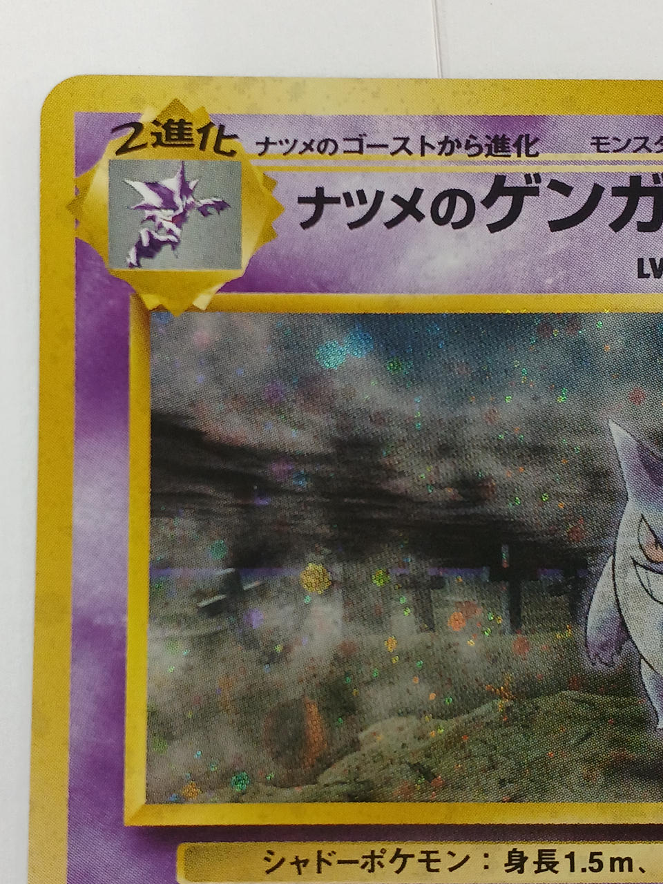 Pokémon Pokémon Card Gengar of the Natsume LV.39