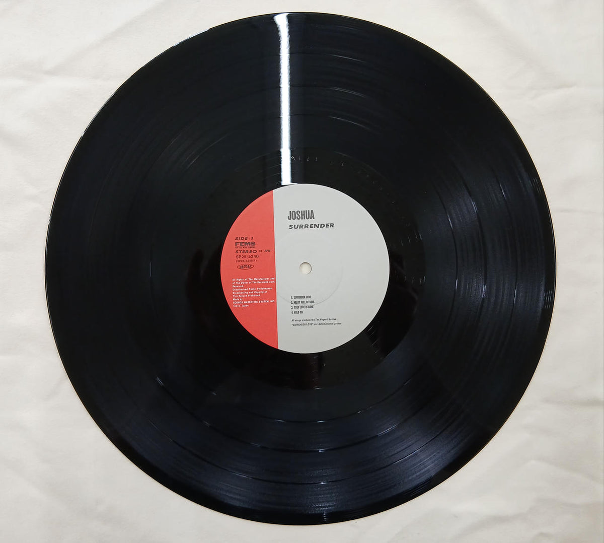 FEMS Record Surrender - Banzai Thrifting | BanzaiHobby