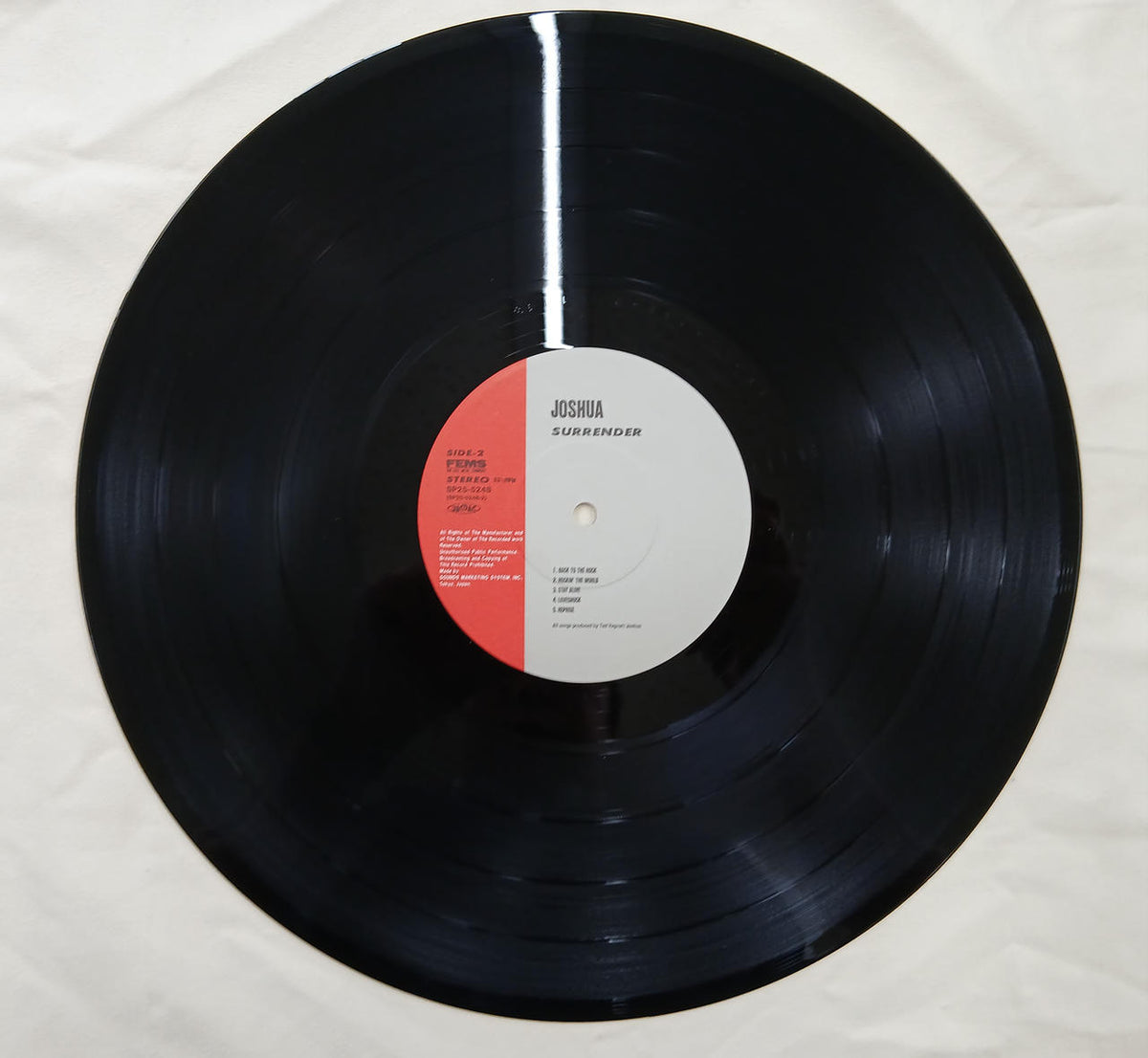 FEMS Record Surrender - Banzai Thrifting | BanzaiHobby