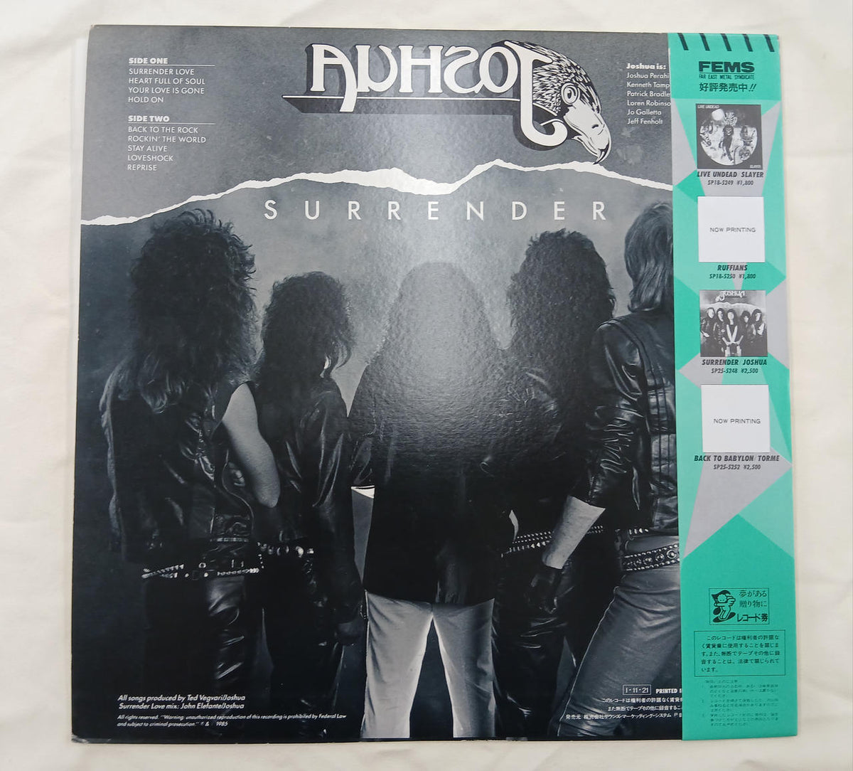 FEMS Record Surrender - Banzai Thrifting | BanzaiHobby