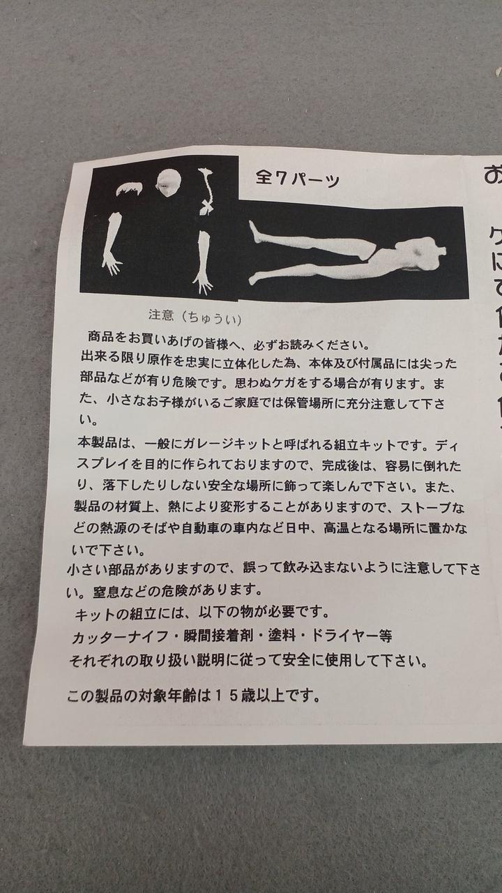 Overdard Kasumi (Swimsuit) DEAD OR ALIVE - Banzai Thrifting | BanzaiHobby
