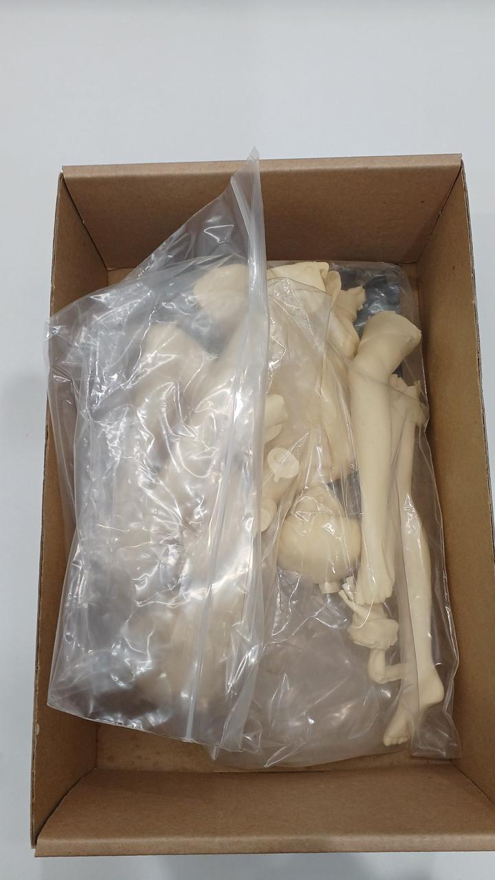 Kaiyodo Kimagure Orange Road Madoka & Hikaru B Set - Banzai Thrifting | BanzaiHobby