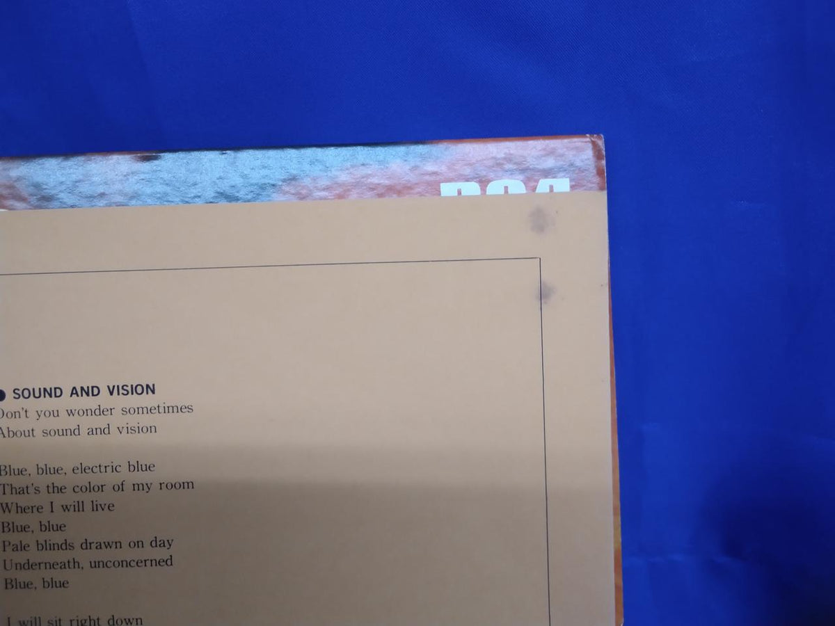 RVC David Bowie Low RVP-6154