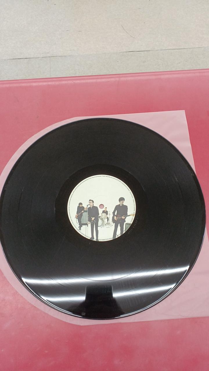 COLUMBIA Japanese Music Michelle Gunn Elephant / Casanova Snake