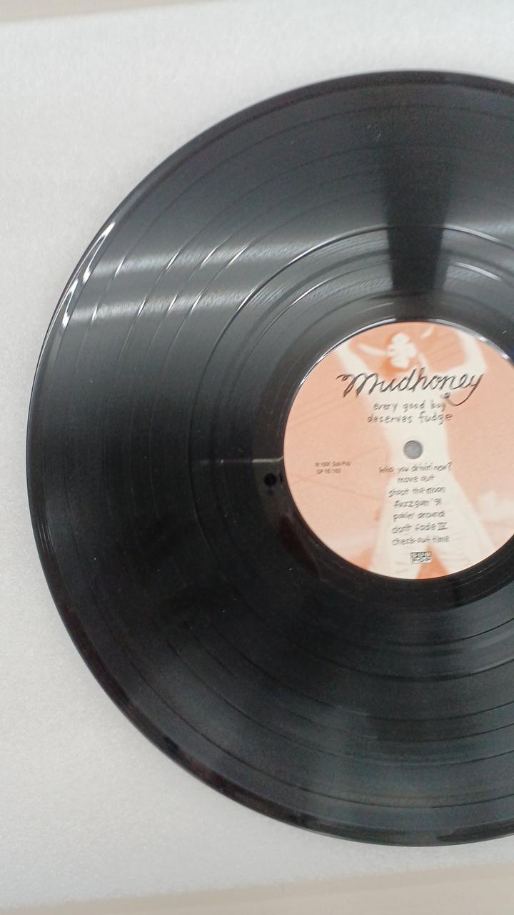 - MUDHONEY EVERY GOOD BOY DESE SP 18/160