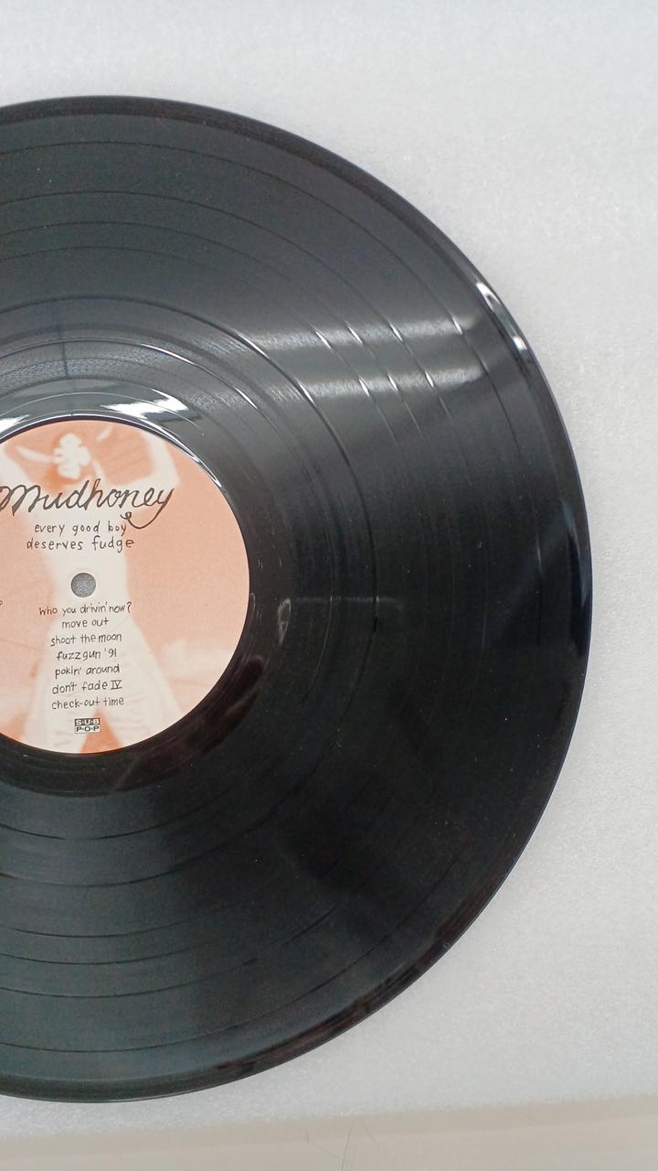 - MUDHONEY EVERY GOOD BOY DESE SP 18/160
