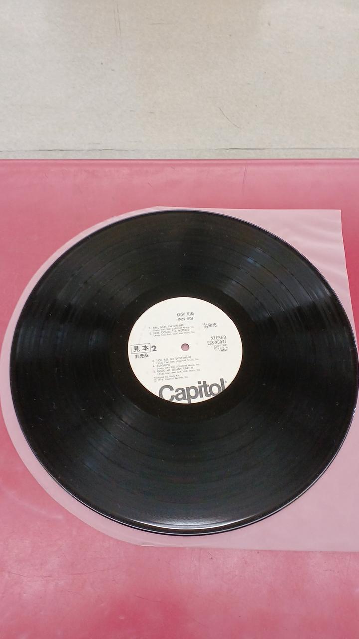 Toshiba EMI Western Music by Andy Kim / Portrait of a Magnificent Person