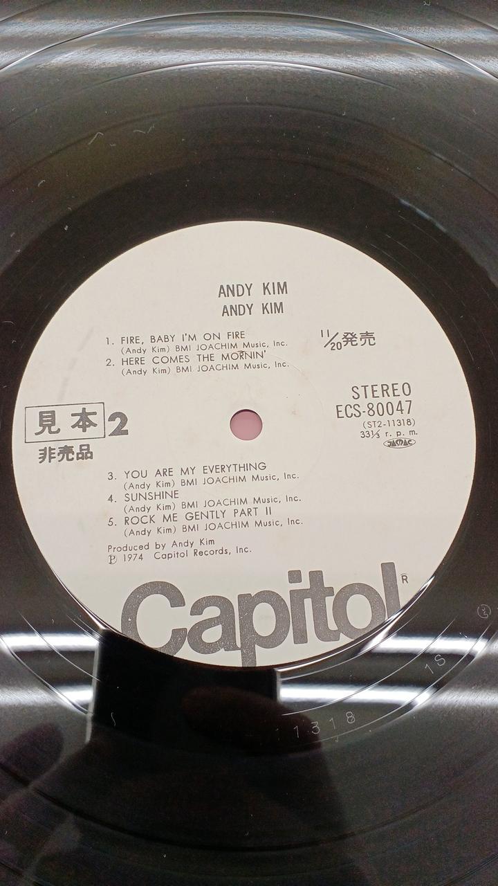 Toshiba EMI Western Music by Andy Kim / Portrait of a Magnificent Person