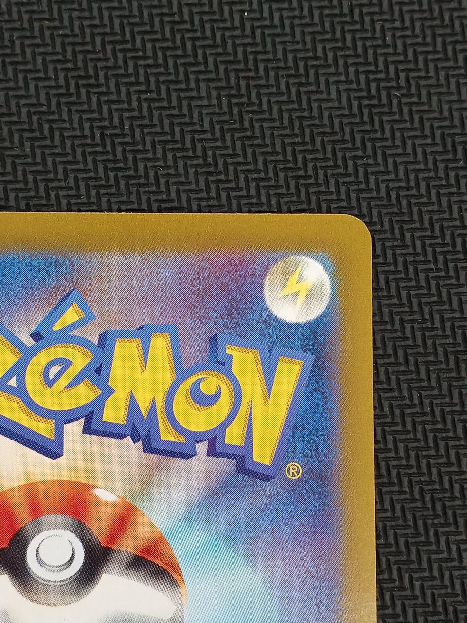 Pokémon Card Erika's Invitation SAR 206/165